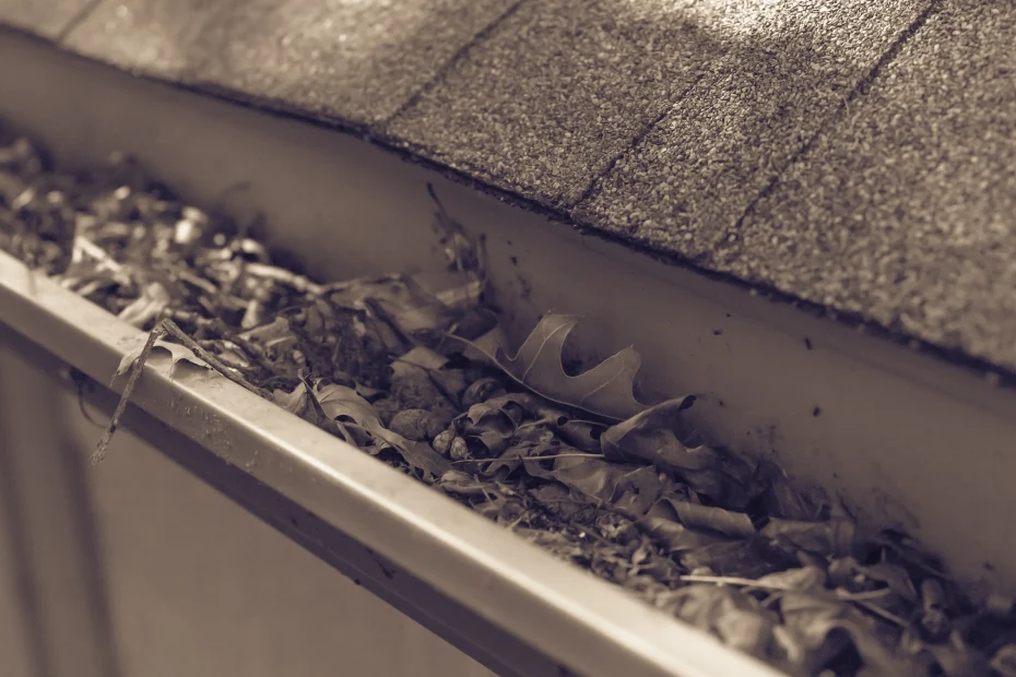 Florence Gutter Cleaning