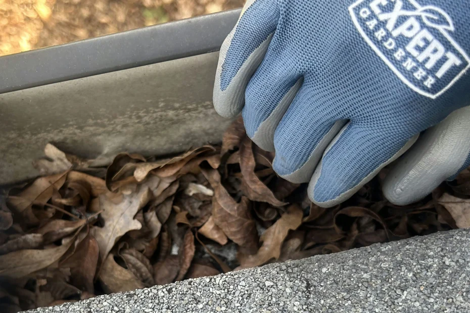 Gutter Cleaning Florence